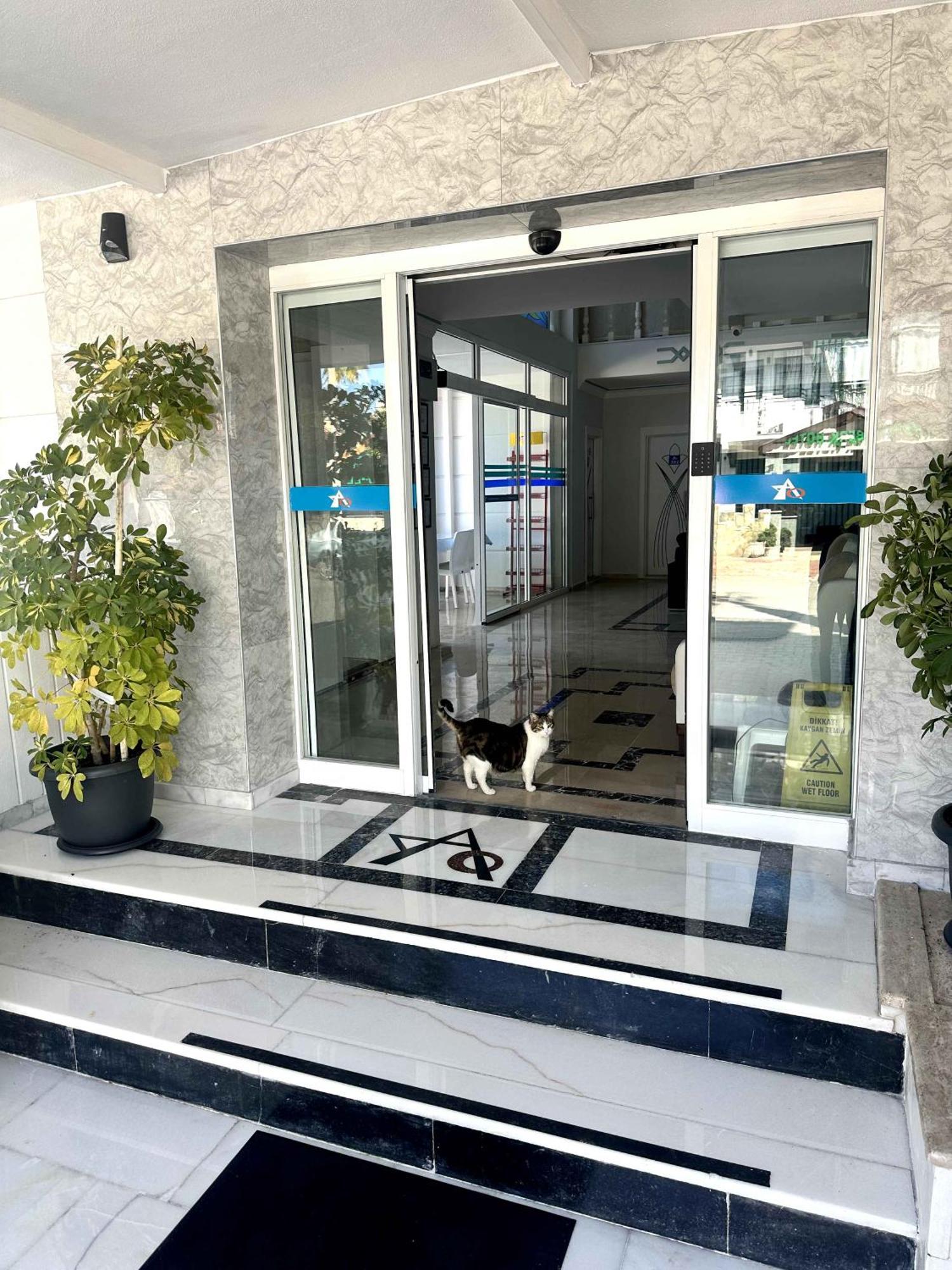 קמר Amsterdam Boutique Hotel מראה חיצוני תמונה